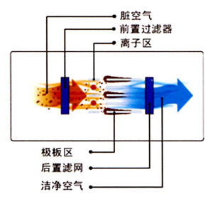 油烟净化器